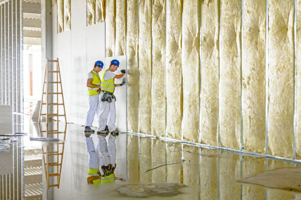 Best Insulation Maintenance and Repair in Moundsville, WV